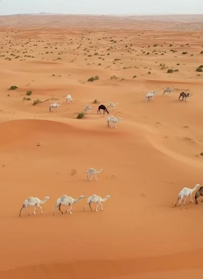 Desert Diamond Private New Camp Badīyah Exteriér fotografie
